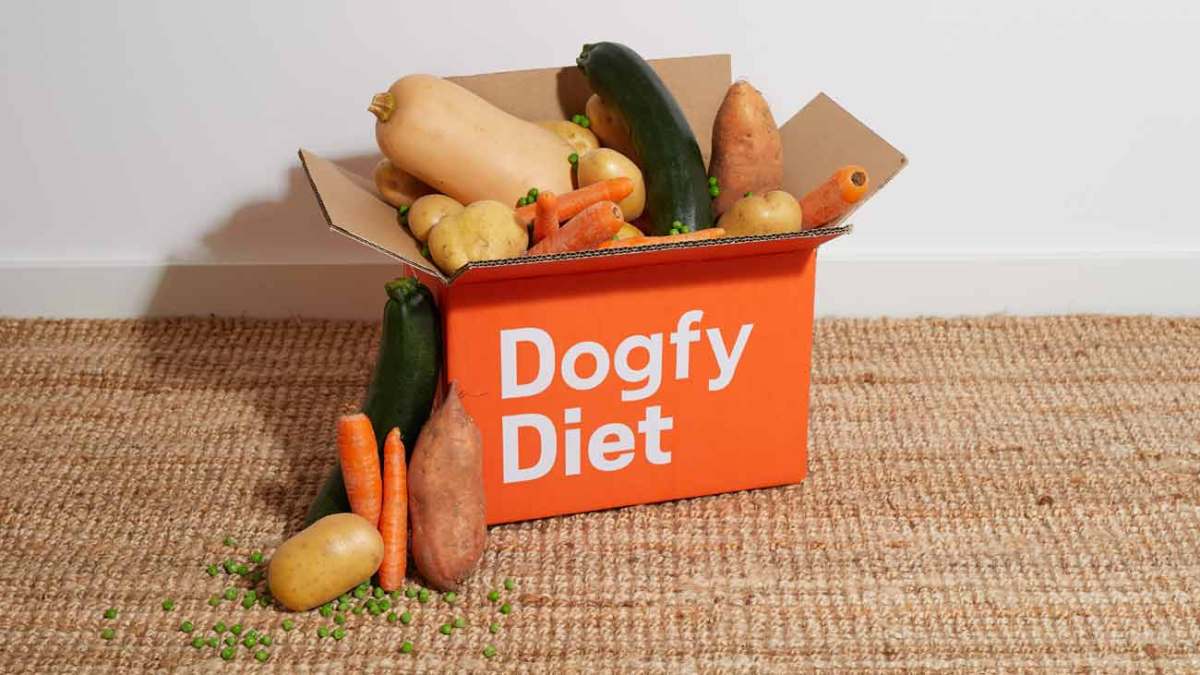 frutas verduras aptas perros
