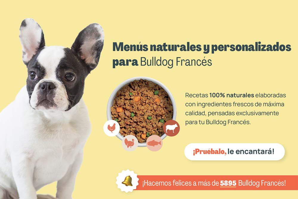 Bulldog frances menus naturales personalizados