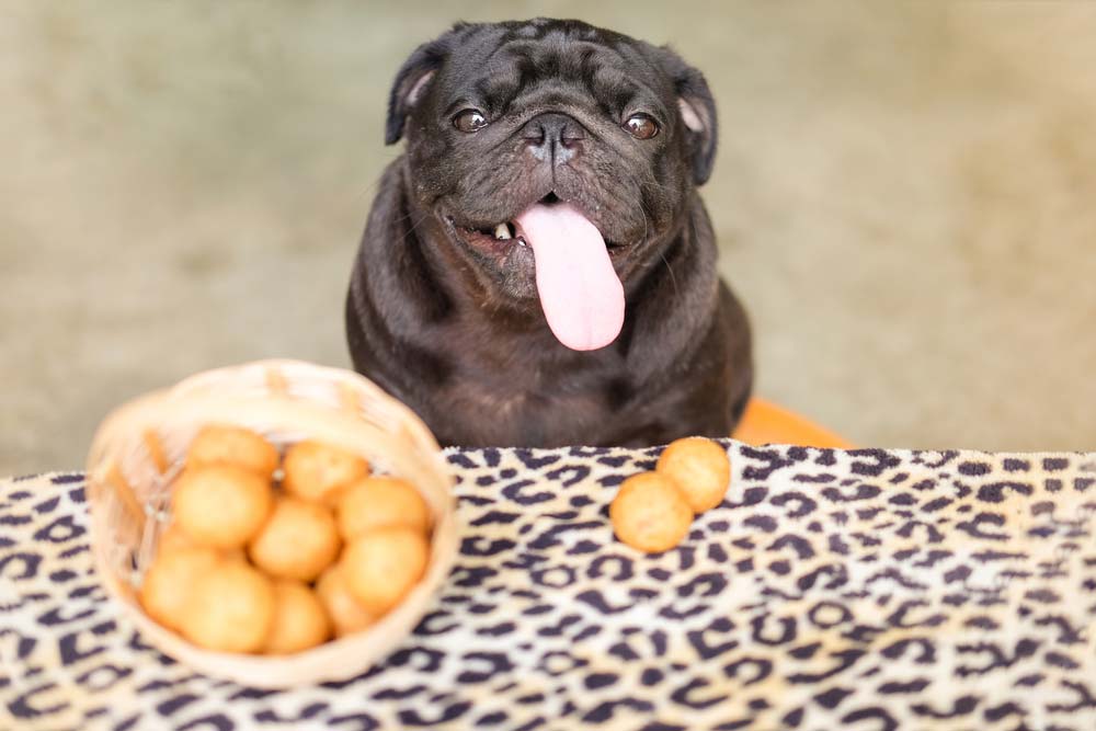 Come preparare le patate per il tuo cane