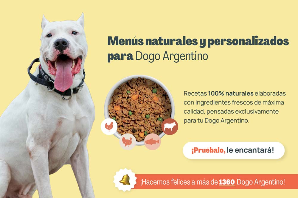 Dogo argentino menus naturales