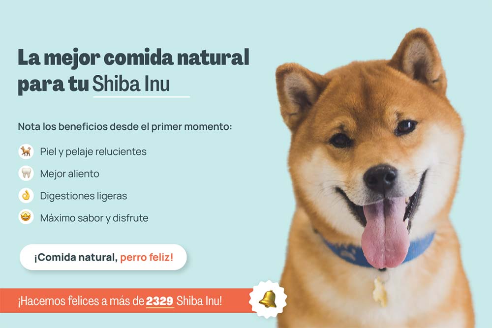 Mejor comida natural Shiba inu