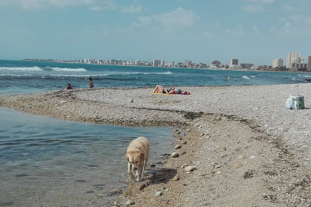 Playa Canina El Campello