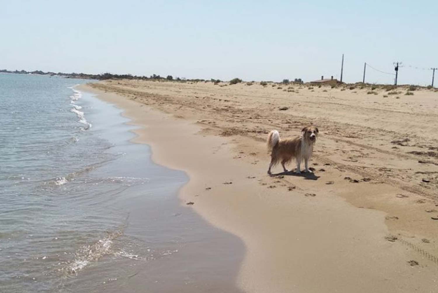 Playa Canina de Riumar Deltebre Tarragona
