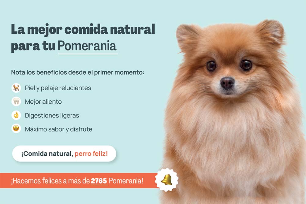 Pomerania mejor comida natural