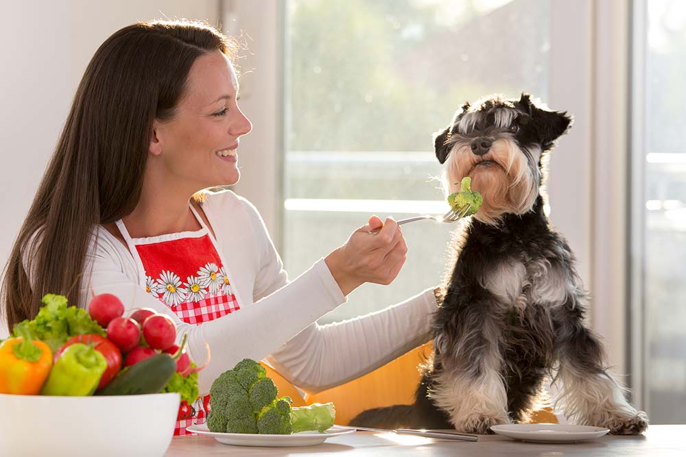 Precauzioni da prendere in considerazione quando offri broccoli al tuo cane