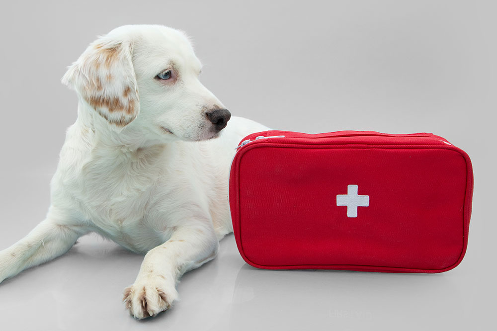 Preparandote para emergencias Kits de primeros auxilios y productos de seguridad