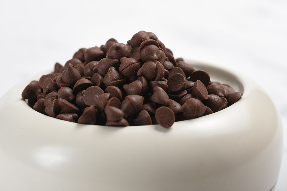 Quante porzioni di cioccolato puo mangiare il cane in modo sicuro
