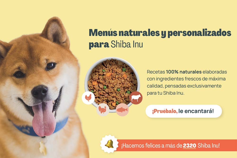 Shiba inu menus naturales