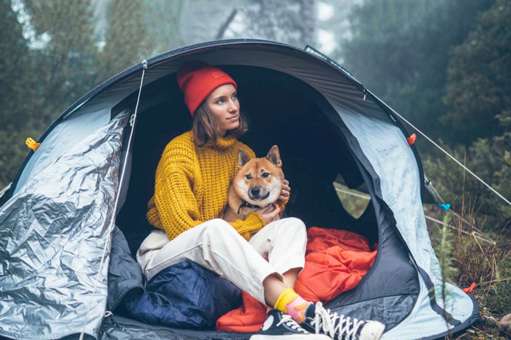 Camping con perros seguridad en campamento