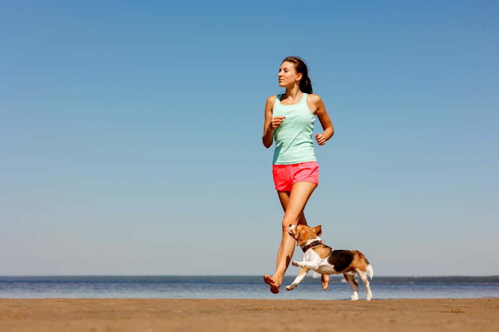 Alimentacion perros alta actividad fisica