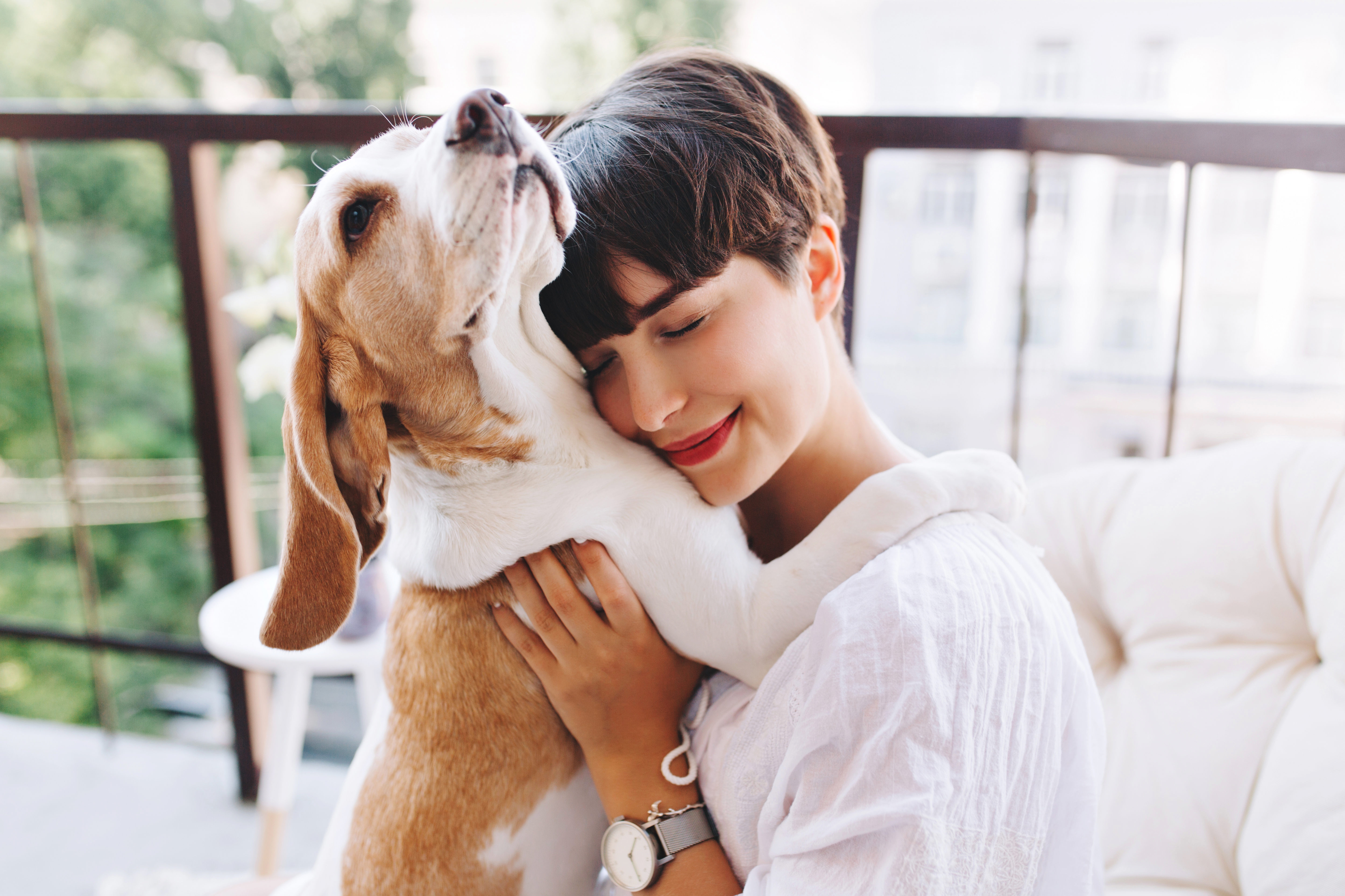 Close up portrait of pleased girl with short brown hair embracing funny beagle dog with eyes closed Smiling young woman in white shirt enjoying good day and posing with pet on terrace