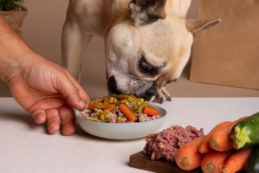 Snack e premi salutari per il tuo cane di piccola taglia