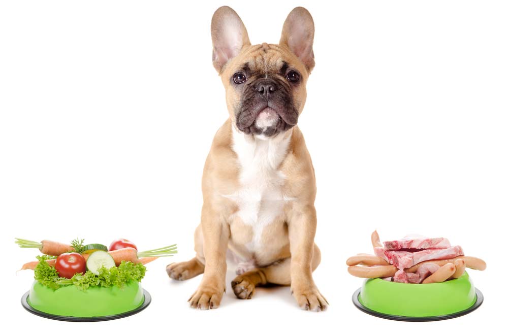 Vantaggi dell'alimentazione naturale del bulldog francese